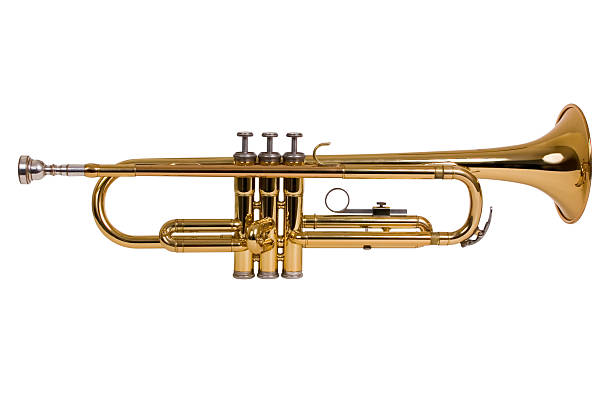 trumpet